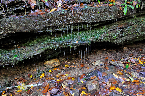 water dripping down ledges